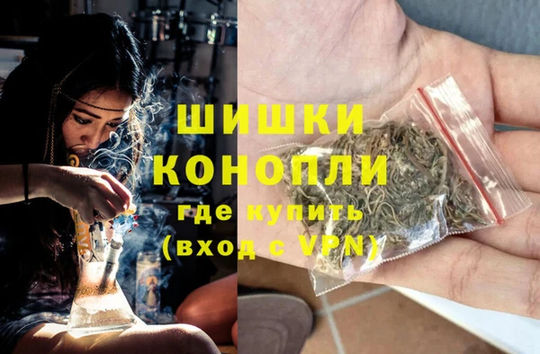 винт Рославль