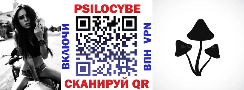 Купить  Чайковский  Галлюциногенные грибы Cubensis 